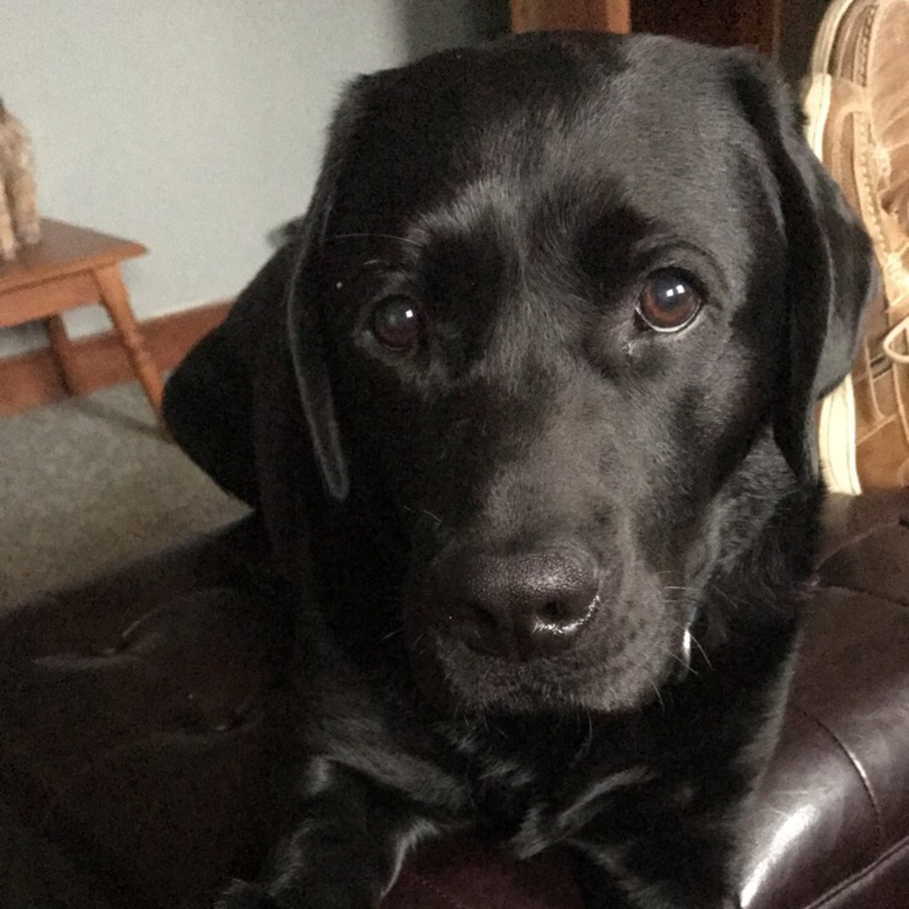 Meet your Posher, Jackie